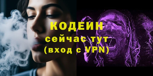 молекула духа Михайлов