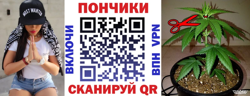 Бошки марихуана VHQ  МЕГА ссылка  Нестеров 